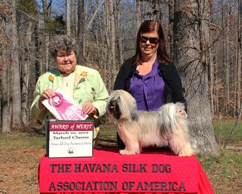 In Durham in 2012 while in North Carolina to be bred I entered Genny in the Durham show just because we were there and she won an Award of Merit both days. We did not get our picture taken the second day as we had to catch our plane home
