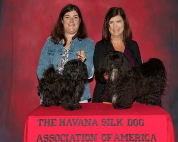 This is Sid with his littermate Cleo from the 2010 Seattle show. Sid won Best of Breed and Cleo won and Award of Merit so we had their picture taken together.
