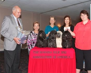 At Nationals in 2011, Curtis wins the Stud Dog Class with Penny, Genny and Enzo behind him!
