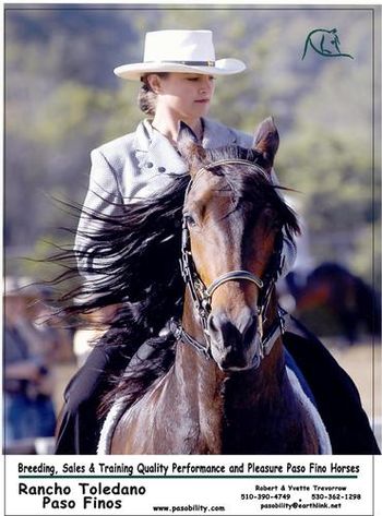 La Vendemia del Conde, Pleasure Mare Champion Fiesta of the Spanish Horse, 2003
