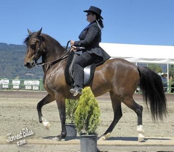 Sydney Blankenship shows her beautiful Performance Mare, Melodia. Woodside 2010
