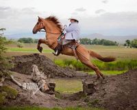 Dee Meyers cowboy dressage 