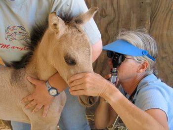 Our on call vet, Sara McCarthy.
