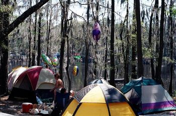 Campsite Serenity
