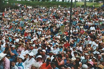 Hillside Crowd
