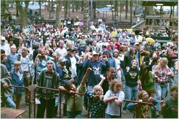 Festival crowd
