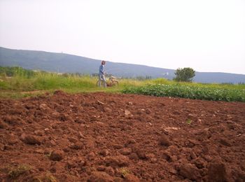 Orehovlje field III
