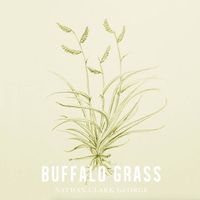 Buffalo Grass by Nathan Clark George