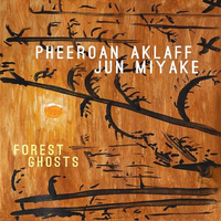 Forest Ghosts by Jun Miyake & Pheeroan Aklaff