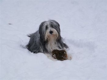 Justice and his toy - one heck of a BOY!
