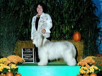 Manitowac Show - 9-13-08 19.5 months old 3rd Place in Bred By Class
