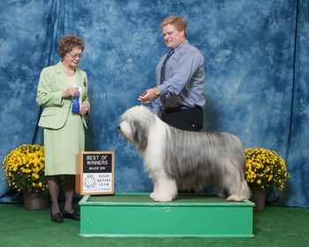 Handler Jason Waters and Travis - winning 3rd Major
