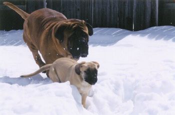 Playing with his daughter Maddie
