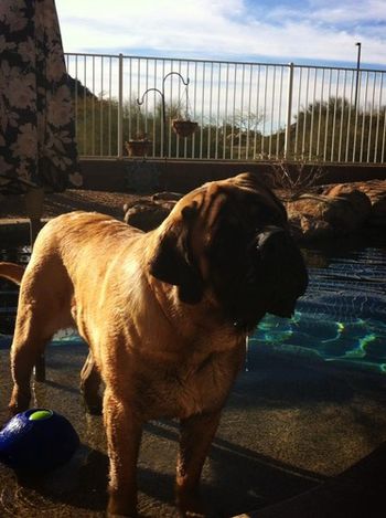 Hard working boys deserve some pool splashing time!
