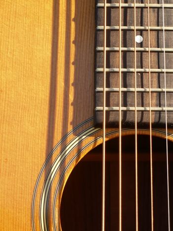 My guitar outside in October
