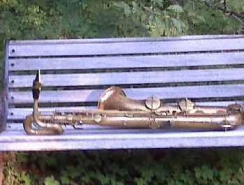 Conn Naked Lady in the park
