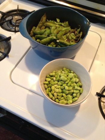 Shucking Fava Beans, Stage 1
