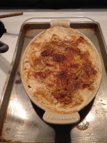 Potatoes au Gratin Gruyere, Hot from the Oven
