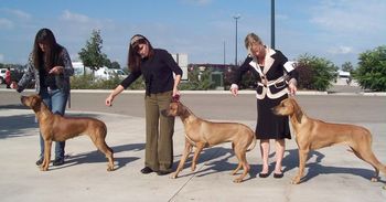 Lola, bad Sparta, and Sunny.
