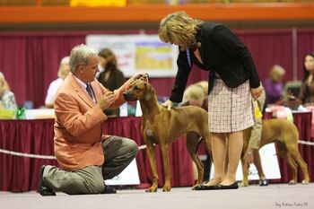 Mike Teeling & Cinder in Sweeps.
