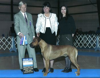 This was Gane's first 4pt. major & Best of Winners under judge Joseph Gregory!!! Handled by Sue Jahn.
