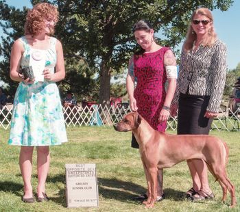 Rayne going Best Opposite in Sweeps under judge Annika Dechert at the Colorado Specialty show!.
