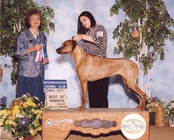 Selous takes her first points under Judge Pat Trotter! Beating 9 bitches for 2 points in Utah. Selous was 10 months old & Pat Trotter had only great things to say about her! What a wonderful day :-)
