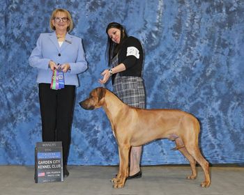 Lloyd winning a 5 pt mj under Claudia Miler
