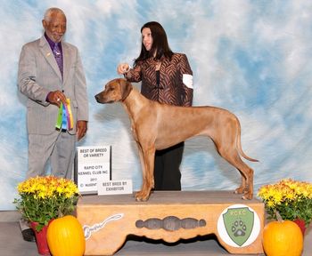 Selous wins Breed over Specials from the classes under Judge Eugene Blake! Awesome!
