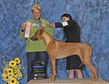 Fawkes winning under judge Sheila Paske
