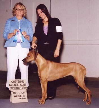 Selous - Regiment's Crossing The Rubicon winning under judge Keke Kahn. She said Selous was an extremely lovely girl!
