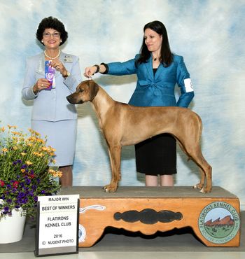 Rayne winning her 3rd major under judge Linda Clark!
