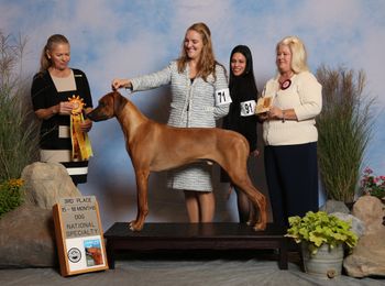 Kion placing 3rd at the RR National under Paula Nykiel
