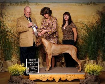 Sparta is pictured winning 4th place in the 12-15month class under Bill Kent. This was in Gettysburg for the National Specialty. Thank you Mr.Kent and Mary Lynne Elliott for such a nice win!
