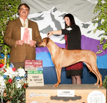 Rayne winning the Bred By group in Denver!
