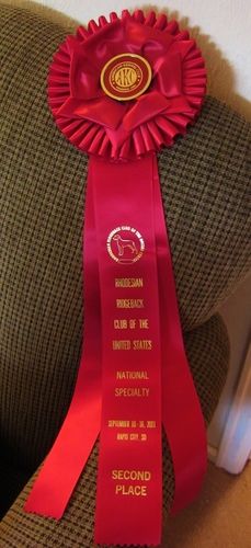 Cinder's pretty 2nd place ribbon.

