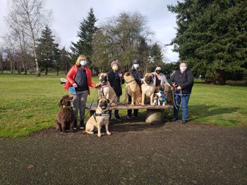 Pandemic group walk
