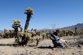 Joshua Tree 2
