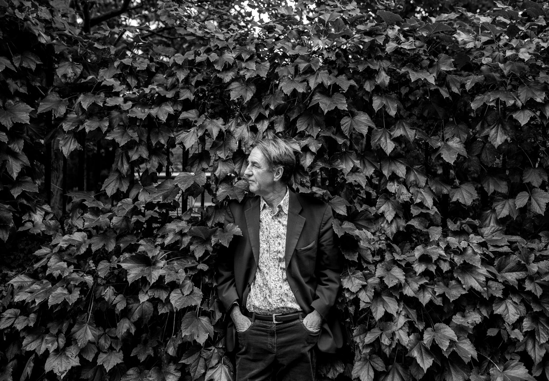 Fergus Hambleton Videos