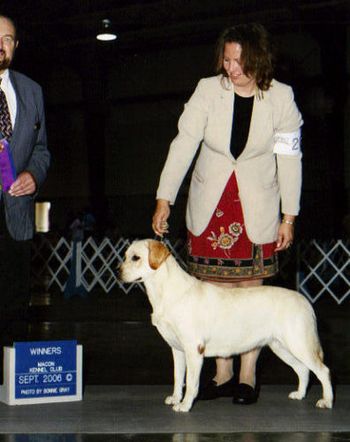 Poppy going Winner's Bitch at Macon Kennel Club show
