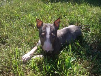 Enjoying the sunshine!
