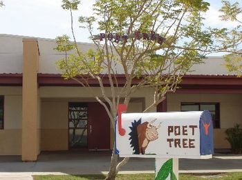 LBJES Poet Tree and Mailbox
