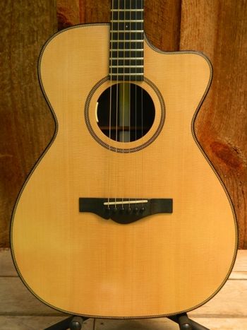 AAA Sitka spruce top
