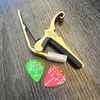 $65+ Donation Tier: Guitar Player Bundle