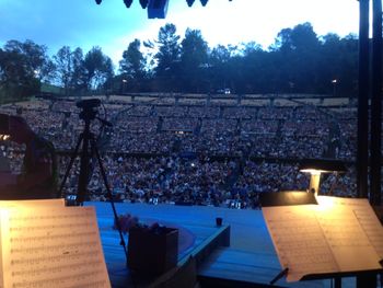 The Hollywood Bowl
