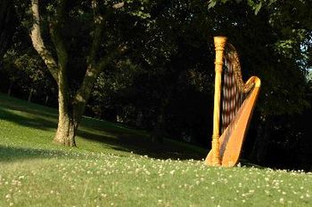 harp in a meadow
