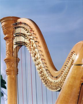 harp and sky
