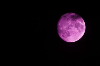 Purple (Full) Moon!
