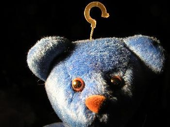 Blue Bear Studio: the manager
