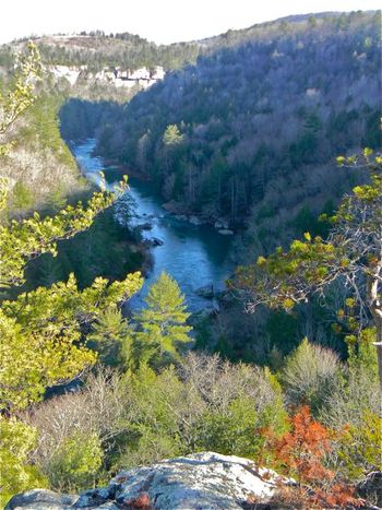 Clear Creek from Lilly Bell Overlook
